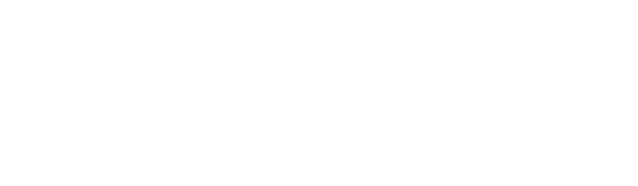 d p cairnie plumbing heating and gas logo upscaled white